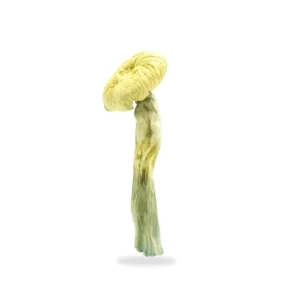 Avery’s Albino Magic Mushrooms