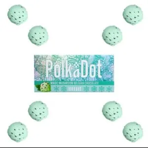 PolkaDot Mint shruumz chocolate bar