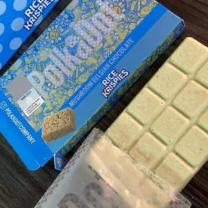 PolkaDot Rice Krispies Chocolate mushroom