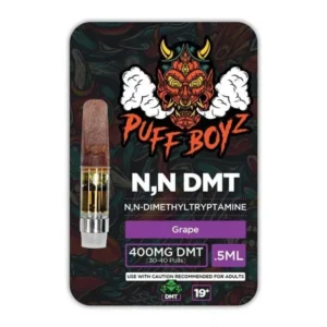 Puff Boyz -NN DMT .5ML (400MG)
